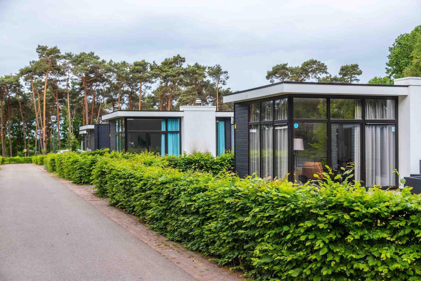 Moderne vakantiewoningen van EuroParcs Maasduinen langs een groene parklaan in Belfeld